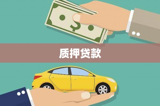 江城质押贷款