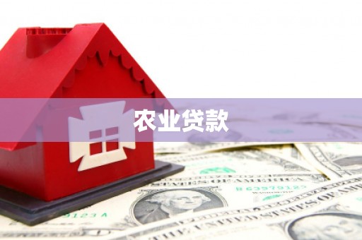 江城农业贷款