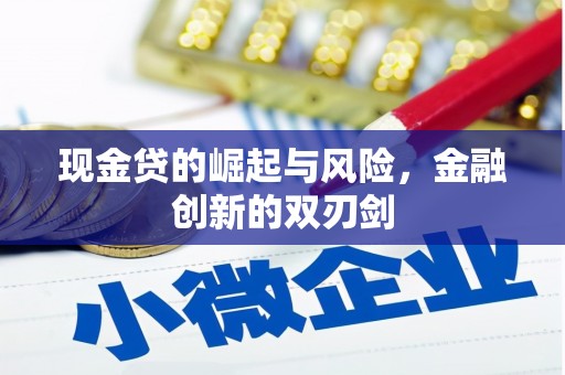 江城现金贷的崛起与风险，金融创新的双刃剑