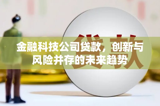 江城金融科技公司贷款，创新与风险并存的未来趋势