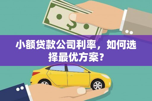 江城小额贷款公司利率，如何选择最优方案？