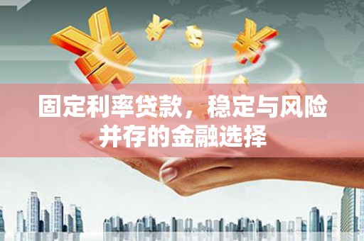 江城固定利率贷款，稳定与风险并存的金融选择