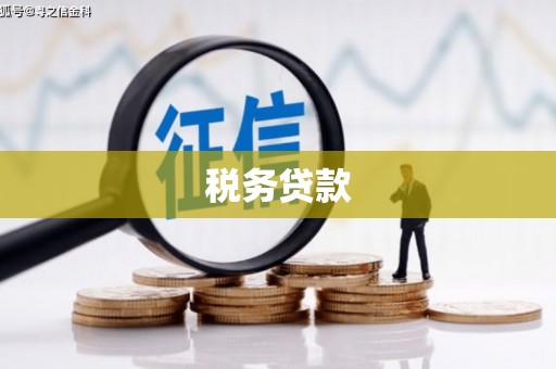 江城税务贷款