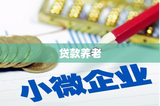 江城贷款养老