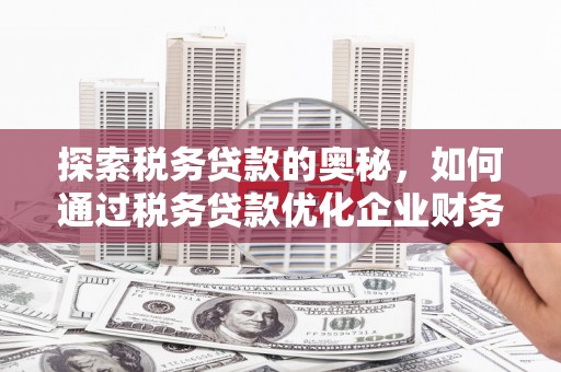 江城探索税务贷款的奥秘，如何通过税务贷款优化企业财务