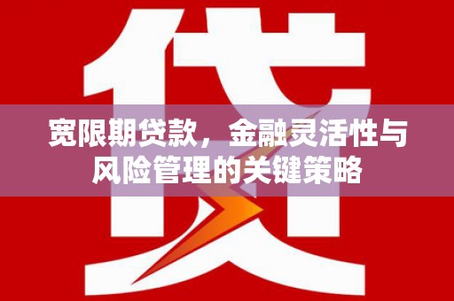 江城宽限期贷款，金融灵活性与风险管理的关键策略