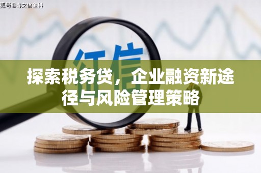 江城探索税务贷，企业融资新途径与风险管理策略