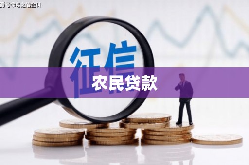 江城农民贷款