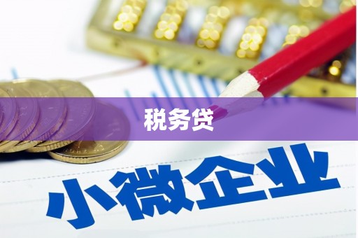 江城税务贷