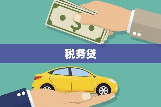 江城税务贷