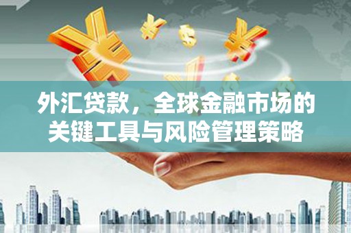江城外汇贷款，全球金融市场的关键工具与风险管理策略