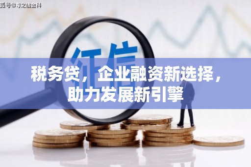江城税务贷，企业融资新选择，助力发展新引擎