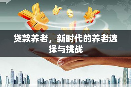 江城贷款养老，新时代的养老选择与挑战