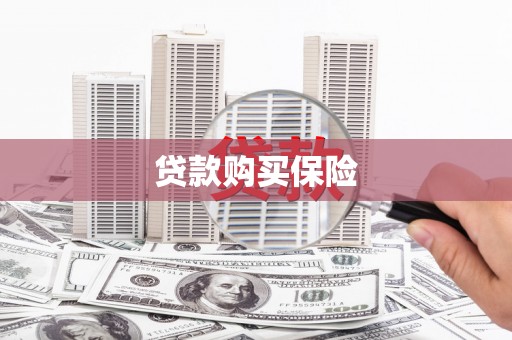 江城贷款购买保险