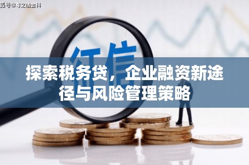 江城探索税务贷，企业融资新途径与风险管理策略