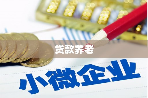 江城贷款养老
