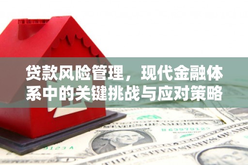 江城贷款风险管理，现代金融体系中的关键挑战与应对策略