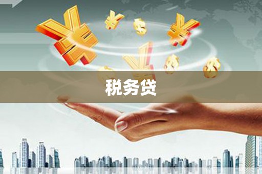 江城税务贷