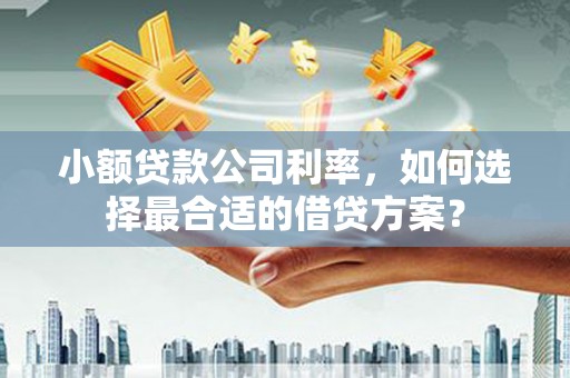 江城小额贷款公司利率，如何选择最合适的借贷方案？