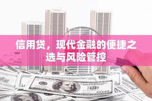 江城信用贷，现代金融的便捷之选与风险管控