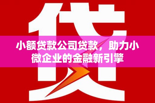 江城小额贷款公司贷款，助力小微企业的金融新引擎