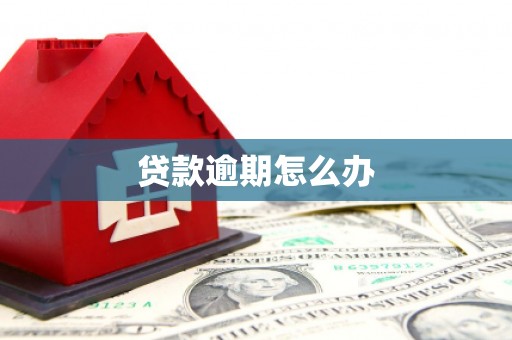 江城贷款逾期怎么办
