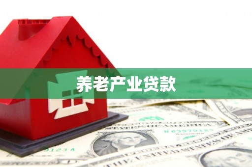 江城养老产业贷款