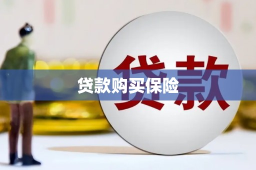 江城贷款购买保险