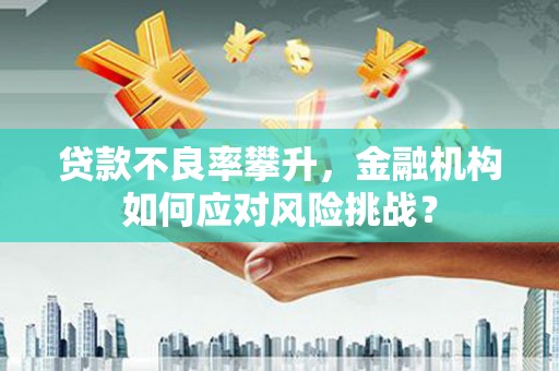 江城贷款不良率攀升，金融机构如何应对风险挑战？
