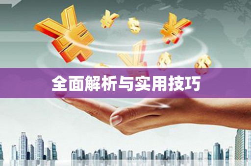 江城全面解析与实用技巧