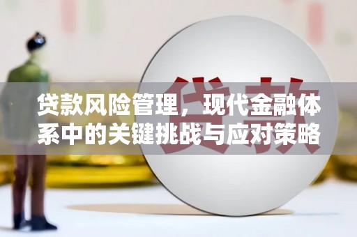 江城贷款风险管理，现代金融体系中的关键挑战与应对策略