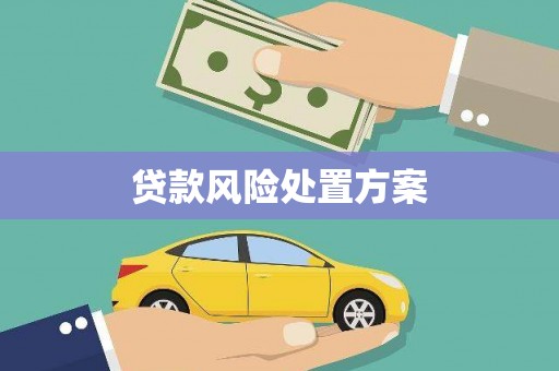 江城贷款风险处置方案