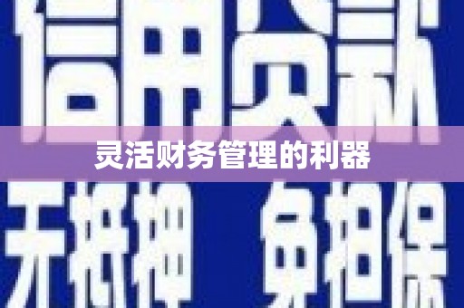 江城灵活财务管理的利器