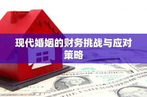 江城现代婚姻的财务挑战与应对策略